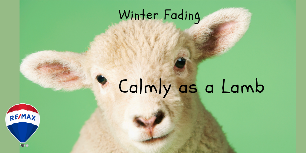 calmly as a lamb