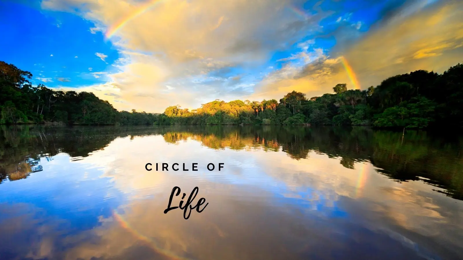 circle of life